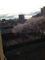2013040303.jpeg