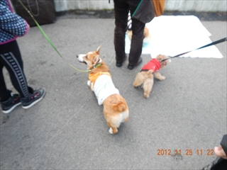 20121125_05
