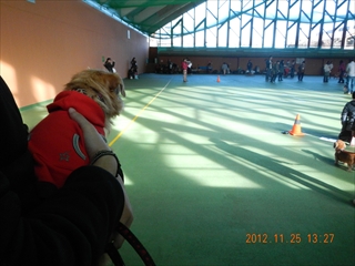 20121125_08