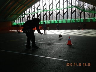 20121125_10