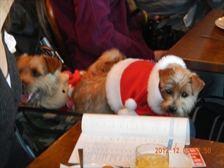 20121208_07