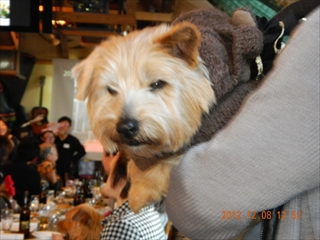 20121208_08