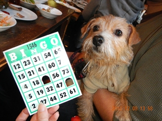 20121208_04