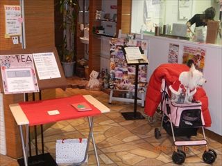 20121216_002