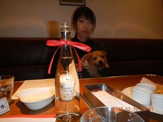 20121216_004