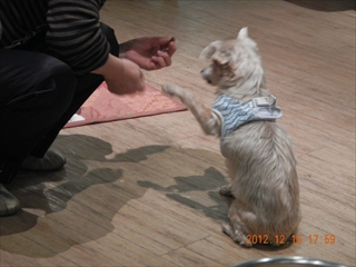 20121216_011
