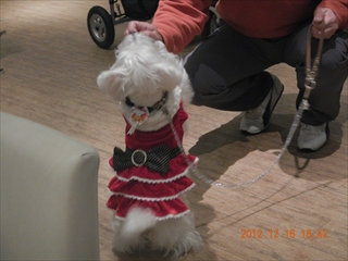 20121216_015