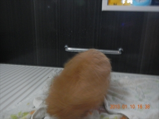 20130110_09