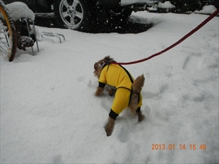 20130114_04
