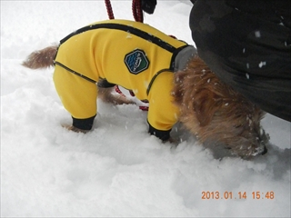 20130114_06