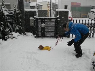 20130114_11