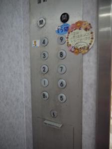 そら猫 エレベーター内