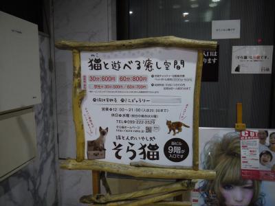 そら猫 案内板