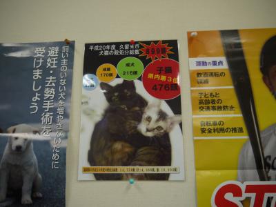 動物管理センターの掲示物