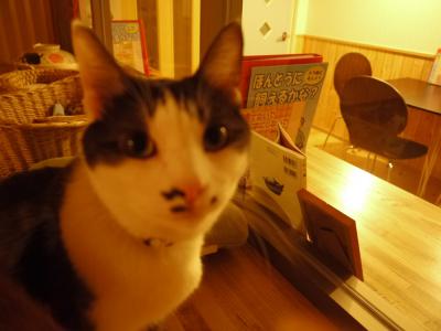 なんでちびニャンだけ?