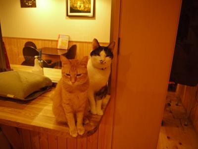 お待ちしてマース