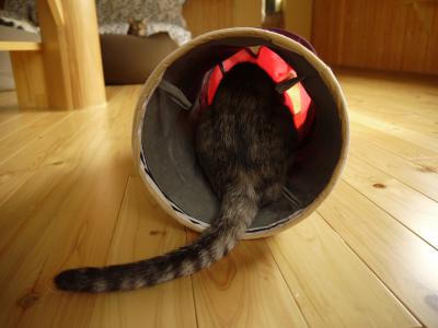 頭隠して…