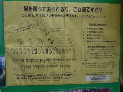 猫の増え方