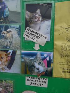 助けられたマル