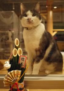 てんてんよりあけおめです。②
