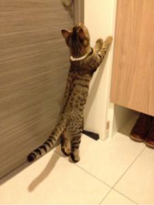 お外に出たいよぉ~