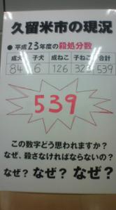 平成23年度久留米市殺処分数