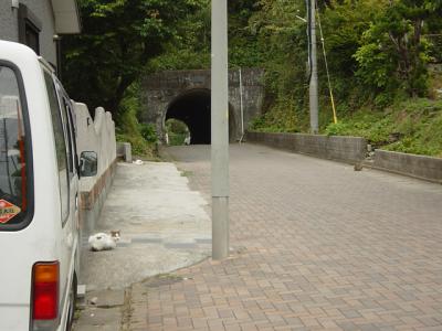 トンネルとネコ