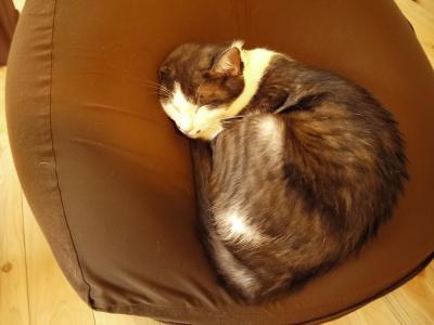 まったりテンテン