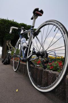 5/30madone8