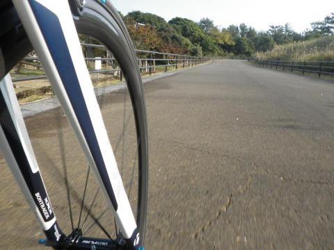 12.12.8青島ポタ2