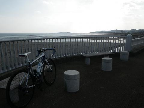 12.12.8青島ポタ3