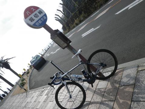 12.12.8青島ポタ9