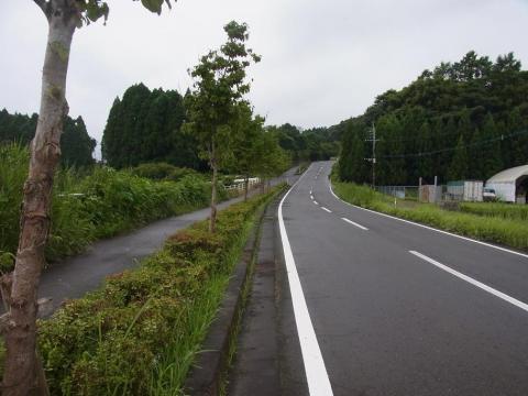 12.7.21ポタ6