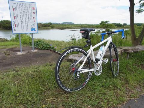 12.9.8新富坂5