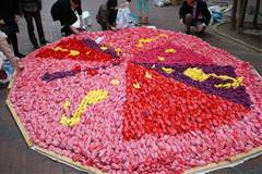 20130427-26.jpg