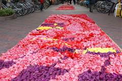 20130427-32.jpg