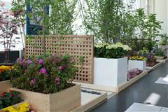 20130518-103S.jpg