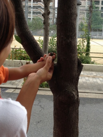 fc2blog_201208011926127d5.jpg