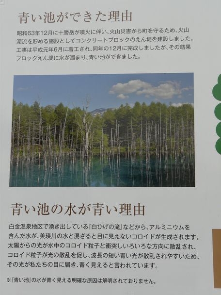 P1060727ka.jpg