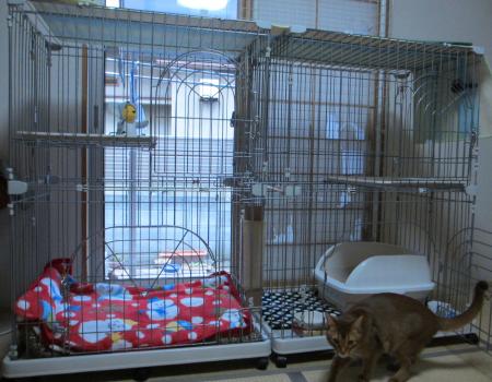 2012_1218_105126-IMG_3154_convert_20121218122640.jpg
