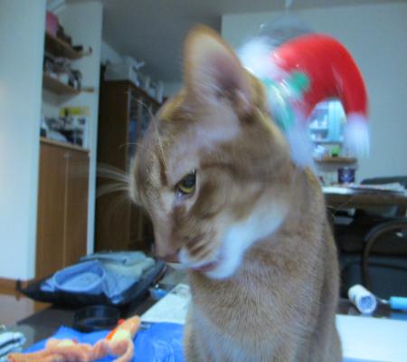 2012_1220_074514-IMG_3237_convert_20121221141844.jpg