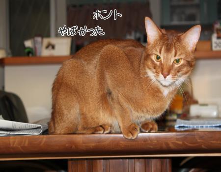 KnRrJd9ELjDHx6r1357874415_1357874514.jpg