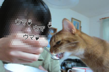 axQQJJPJbAZa0ai1354691520_1354691827.png