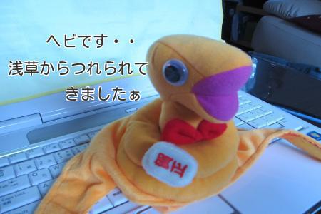 wBryVMixN_q7rQd1354692604_1354692733.jpg