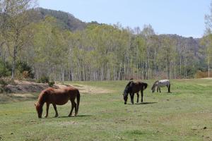 20120513_094835_2.jpg