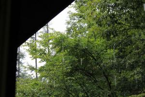 20120923_092721_1.jpg