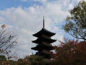 20121103_151440_1.jpg