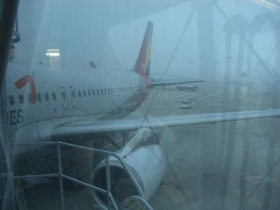 CIMG0214.jpg