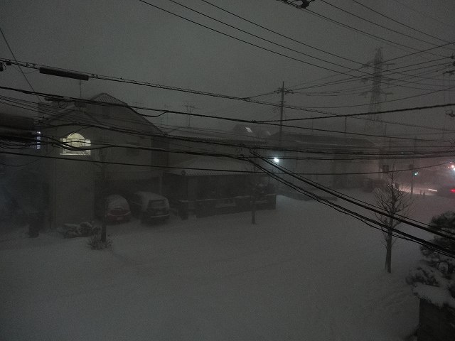 DSC02701.jpg