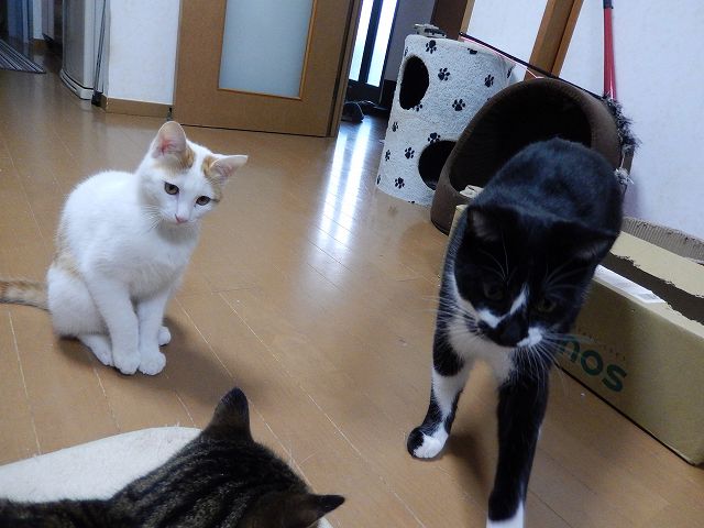 DSCN0712.jpg